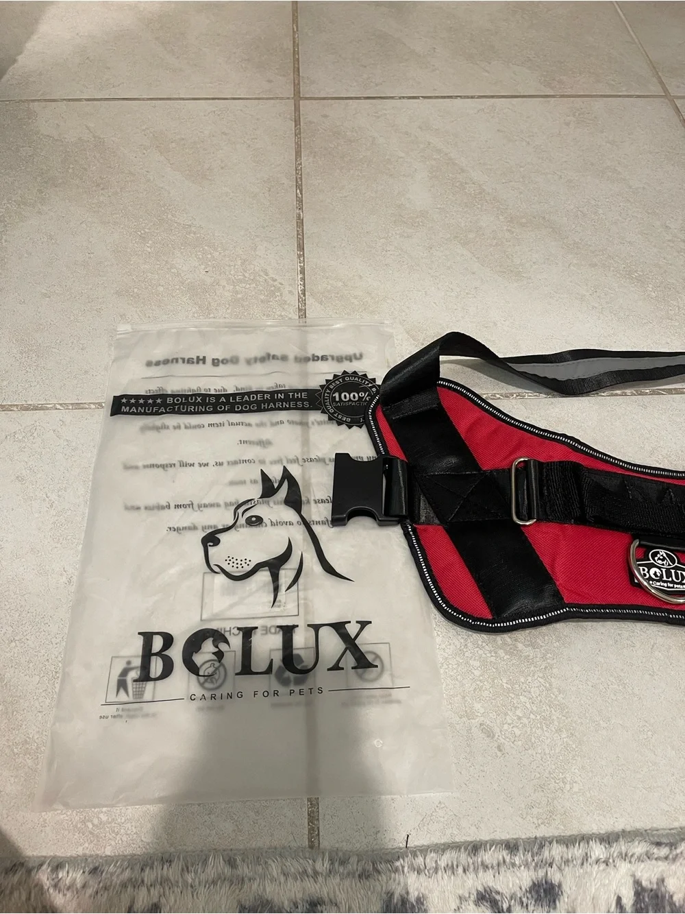 N/A bolux dog